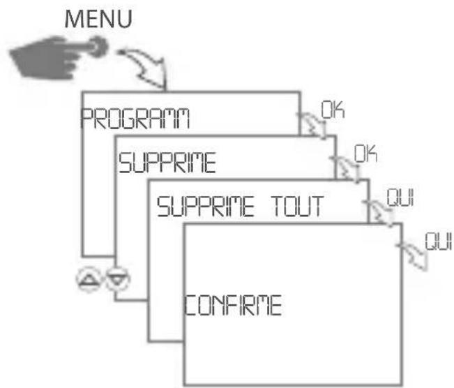 Gewiss GW96845 - Supprimer tous les programmes - 1
