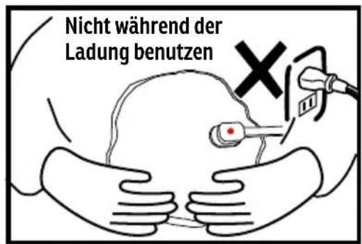 Sonnenkönig DAISY - ATTENTION - 2