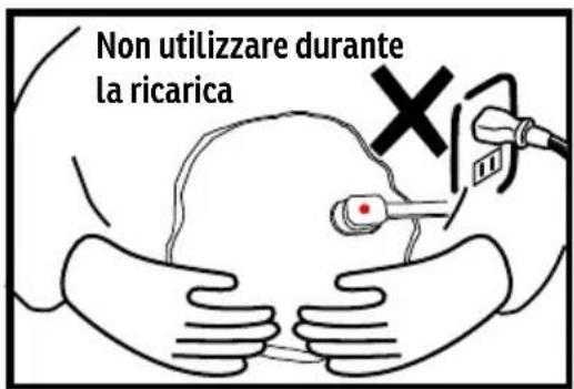 Sonnenkönig DAISY - ATTENTION - 2