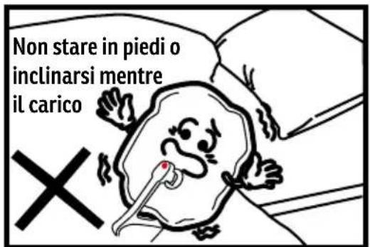 Sonnenkönig DAISY - ATTENTION - 3