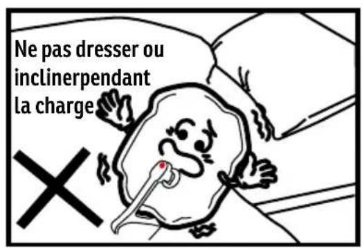 Sonnenkönig DAISY - Attention - 3