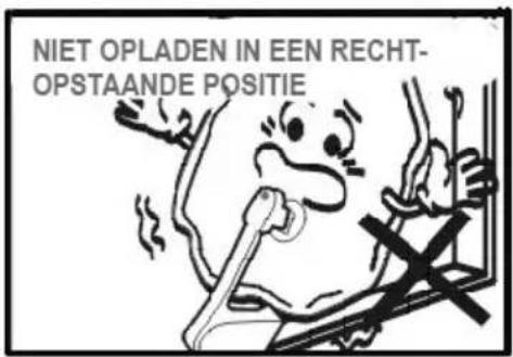 Sonnenkönig DAISY - ATTENTION - 3