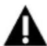 SWITEL BSW 220 - Viewing Live Video. See Fig. 10. - 6
