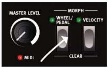 Nord Lead A1r - Morphing - 1