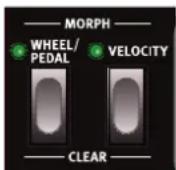 Nord Lead A1r - Morph - 1
