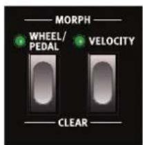 Nord Lead A1r - Molette/pédale de contrôle (Wheel/Pedal) - 1
