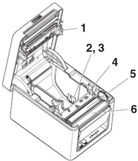 CITIZEN CTE651 - Interior de la tapa del papel - 1
