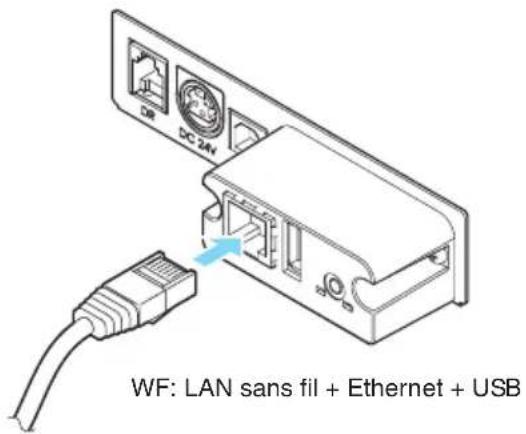 CITIZEN CTE651 - Branchement des cables d'interface - 4