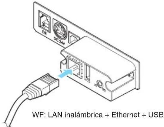 CITIZEN CTE651 - Conexión de los cables de interfaz - 4