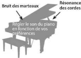 Bruit des marteaux Régler le son du piano en fonction de vos préférences Résonance des cordes