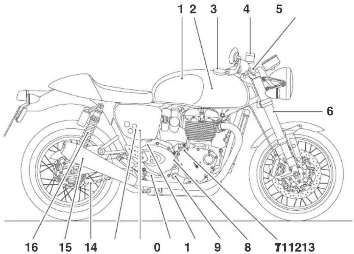 TRIUMPH Bonneville T120 (2017) - Thruxton RS - 1