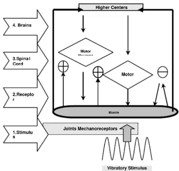 DKN XG5 - Relatieve contra-indications (raadpleeg eerst uw arts alvorens een DKN WBV toestel te gebruiken) - 1