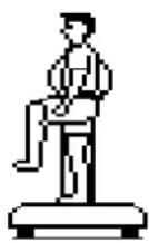 DKN XG5 - Pelvis bridge - 1