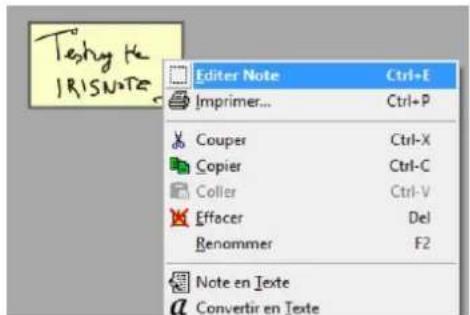 IRIS IRISNotes 3 - Affichage et edition de notes dans Note Manager - 2