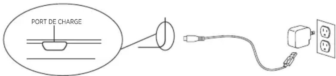 Zagg ZGUNM2BKF - CHARGEMENT - 1