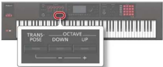 TRANS- POSE OCTAVE DOWN UP