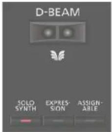 D-BEAM SOLO SYNTH EXPRES- SION ASSIGN- ABLE