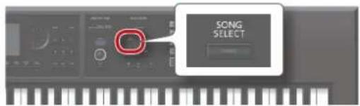 SCING SELECT