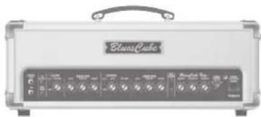 ROLAND Blues Cube Tour - 3