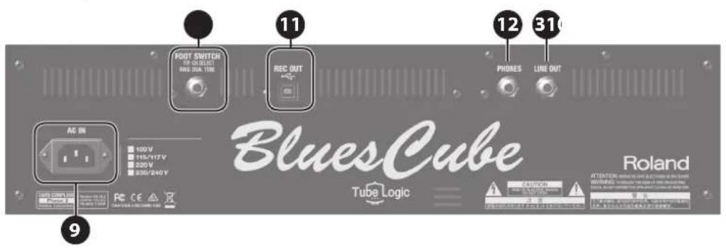 FOOT SWITCH RNG DUAL TIME REC OUT AC IN 100V 115/117V 220V 230/240V BluesCube Tube Logic CAUTION LINE OUT 12 310 9 Roland
