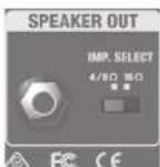 ROLAND Blues Cube Tour - Commutateur [IMP. SELECT] (sélection d'impédance) - 1