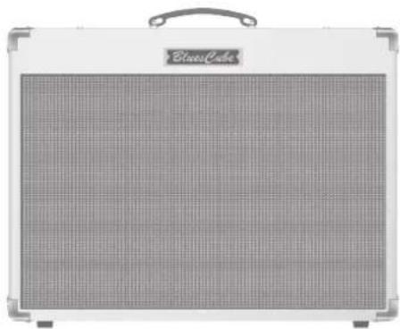 ROLAND Blues Cube Tour - 2