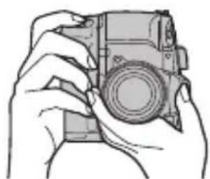 PANASONIC Lumix DMWBGGH5 - aal 1 aal - 2