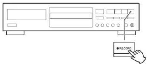 TEAC CDRW890MKII - Appuyez sur la touche RECORD. - 1