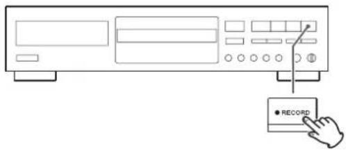 TEAC CDRW890MKII - Press the RECORD button. - 1