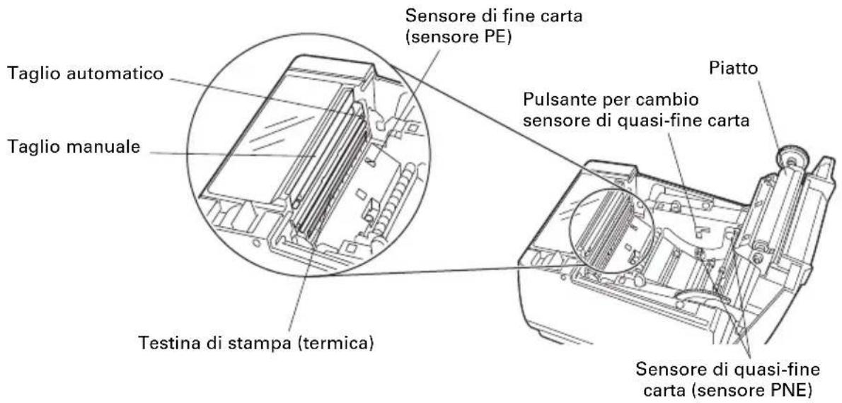 CITIZEN CTS601II - All'interno del coperchio carta - 1