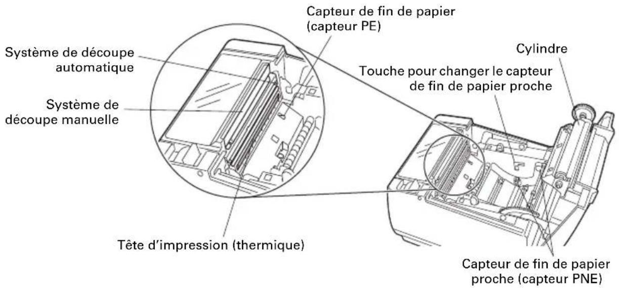 CITIZEN CTS601II - À l'intérieur du capot papier - 1