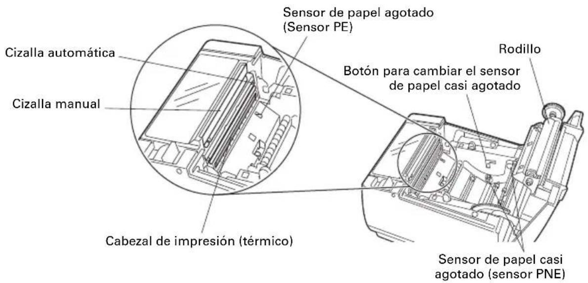 CITIZEN CTS601II - Interior de la tapa del papel - 1