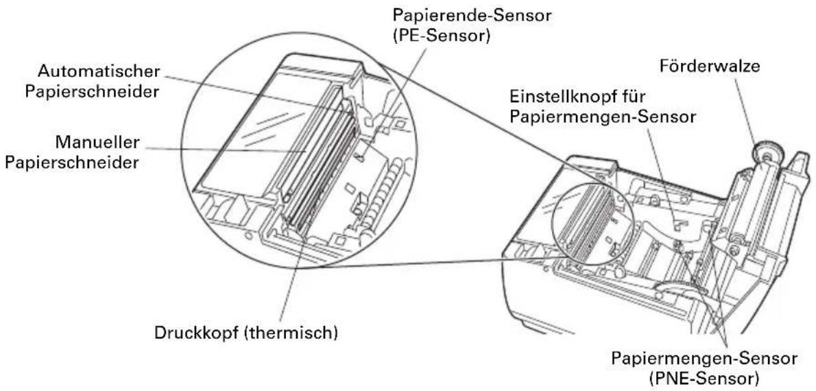 CITIZEN CTS601II - Unter der Papierabdeckung - 1