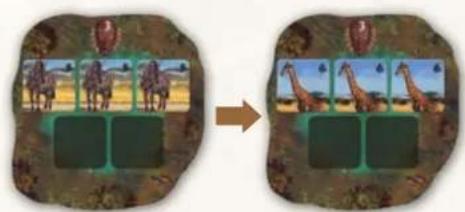 Jumbo Okavango - PHASE 1: TIERE TRINKEN LASSEN - 1