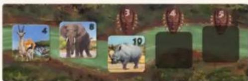 Jumbo Okavango - PHASE 2: PUNKTE ERHALTEN - 11