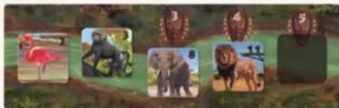 Jumbo Okavango - CASE 2: PUNTEN ONTVANGEN - 12