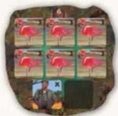 Jumbo Okavango - PHASE 2: WINNING POINTS - 5