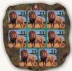 Jumbo Okavango - PHASE 2: WINNING POINTS - 8