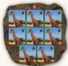 Jumbo Okavango - PHASE 2: WINNING POINTS - 7