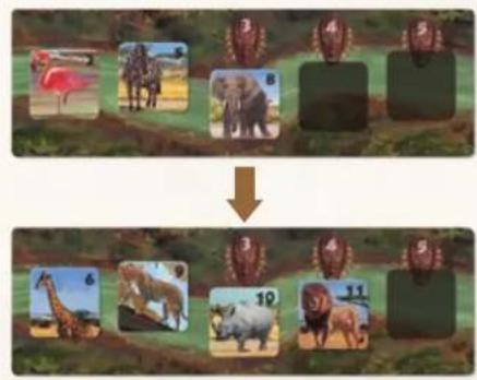 Jumbo Okavango - CASE 1: JE DIEREN LATEN DRINKEN - 3