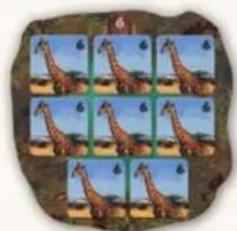 Jumbo Okavango - ÉTAPE 2 : GAGNER DES POINTS - 7
