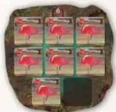 Jumbo Okavango - PHASE 2: WINNING POINTS - 6