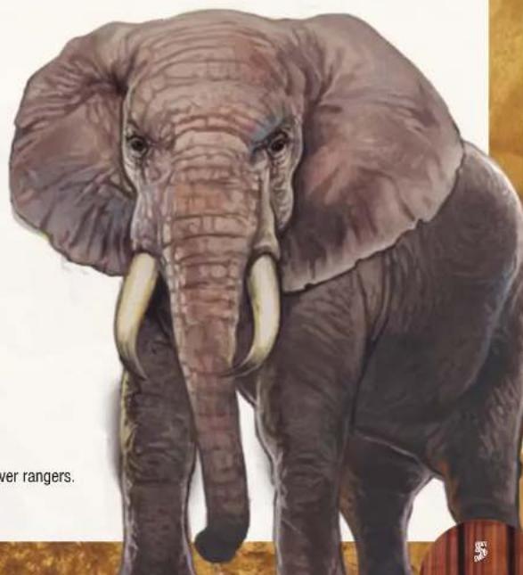 Jumbo Okavango - CASE 2: PUNTEN ONTVANGEN - 9