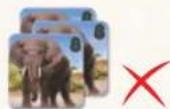 Jumbo Okavango - ETAPE 3 : CONDUIRE LES ANIMaux DELOKAVANGO VERS SA PROPRE RÉSERVE - 6