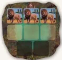 Jumbo Okavango - CASE 2: PUNTEN ONTVANGEN - 3