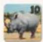 Jumbo Okavango - PHASE 3: TIERE VOM OKAVANGO IN DAS EIGENE RESERVAT BRINGEN - 8