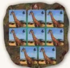 Jumbo Okavango - PHASE 2: PUNKTE ERHALTEN - 7