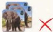 Jumbo Okavango - PHASE 3: TAKING THE ANIMALS FROM THE OKAVANGO TO YOUR OWN RESERVE - 6