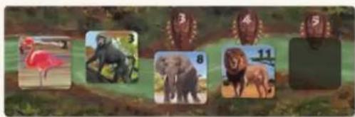 Jumbo Okavango - PHASE 2: WINNING POINTS - 12