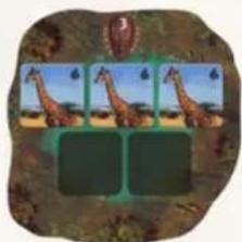 Jumbo Okavango - PHASE 3: TAKING THE ANIMALS FROM THE OKAVANGO TO YOUR OWN RESERVE - 2